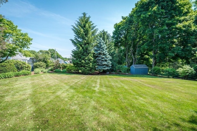 view of yard with an outdoor structure and a storage shed