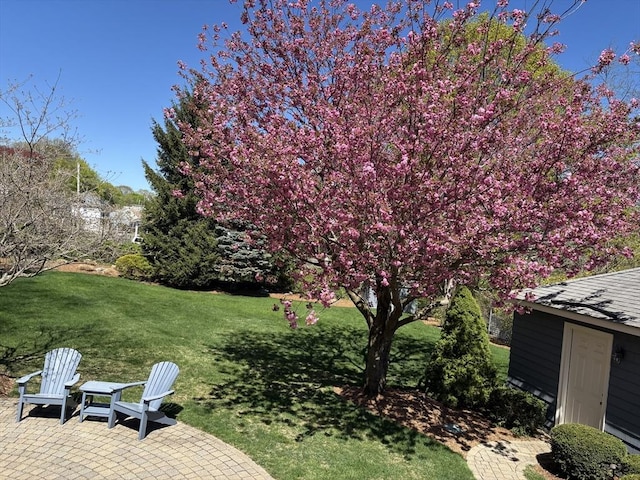 view of yard with a patio