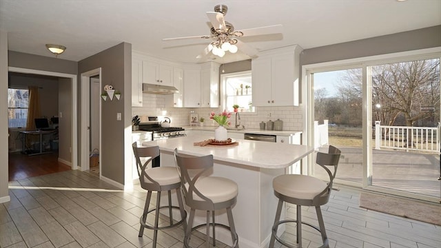 kitchen with white cabinetry, sink, tasteful backsplash, and appliances with stainless steel finishes