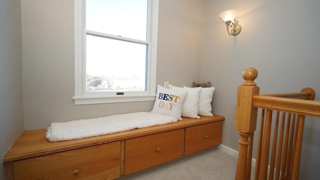 sitting room with light carpet