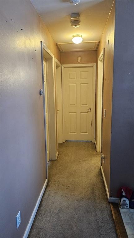 hallway with dark colored carpet