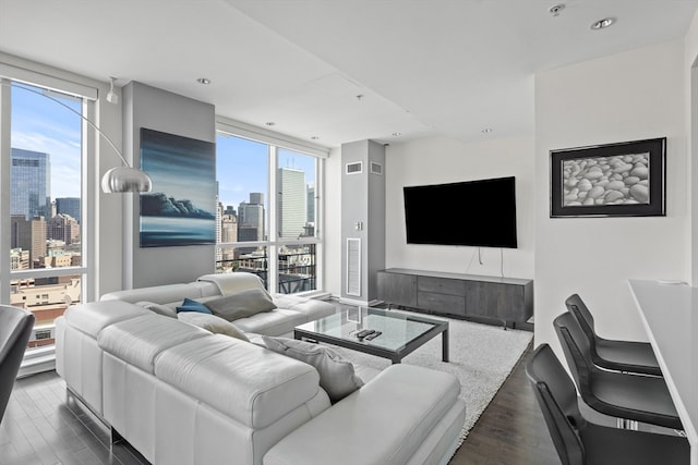 living room featuring dark wood-type flooring and expansive windows