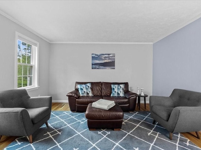 41 Nancy Dr, Ashland, MA 01721 - living room featuring wood finished floors and crown molding