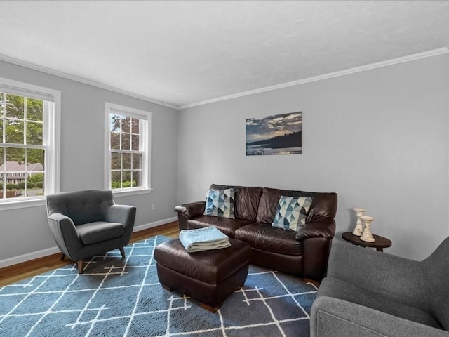41 Nancy Dr, Ashland, MA 01721 - living room with crown molding and wood finished floors