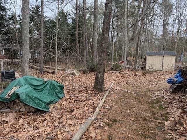 view of yard with a storage shed