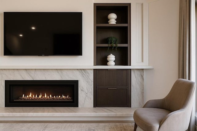 39 Rogers Ave, Somerville, MA 02144 - detailed view of built in shelves and a high end fireplace