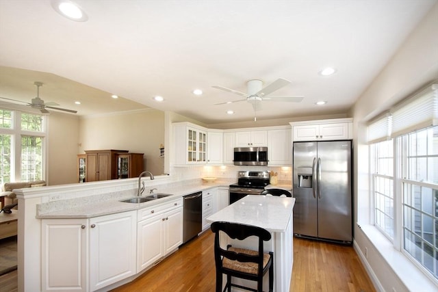 kitchen with a sink, stainless steel appliances, a peninsula, and a wealth of natural light