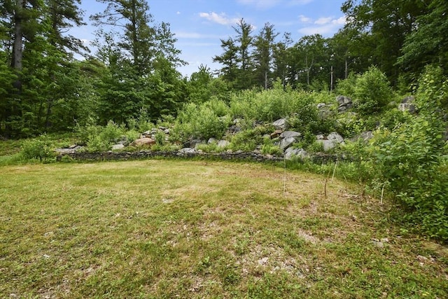 view of yard featuring a wooded view