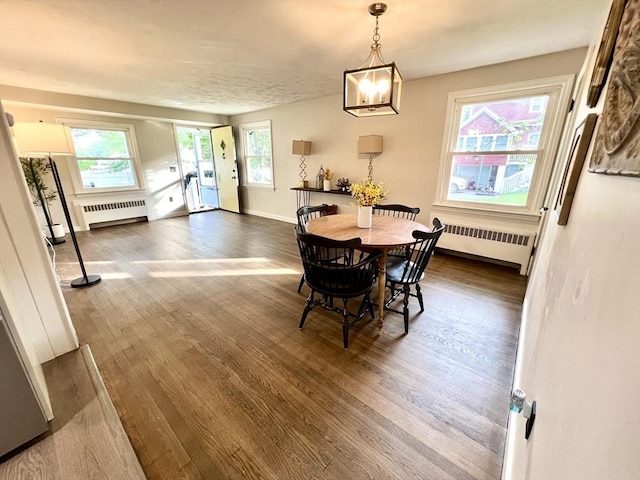 3 Rosewood Dr, Worcester, MA 01602 - dining room with radiator heating unit and dark wood-style flooring