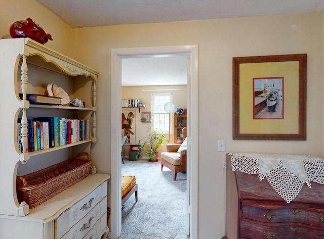 252 W St Unit 18, Amherst, MA 01002 - corridor featuring carpet floors