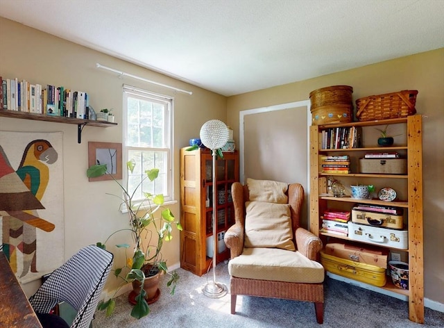 252 W St Unit 18, Amherst, MA 01002 - living area featuring carpet and baseboards