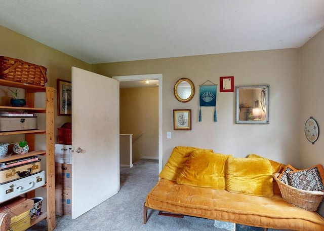 252 W St Unit 18, Amherst, MA 01002 - view of carpeted living room