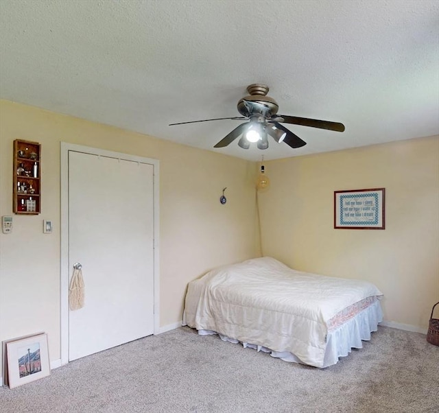 252 W St Unit 18, Amherst, MA 01002 - bedroom with carpet, a ceiling fan, a textured ceiling, a closet, and baseboards