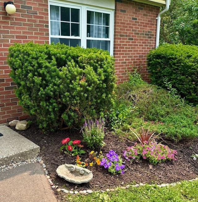 252 W St Unit 18, Amherst, MA 01002 - exterior space featuring brick siding