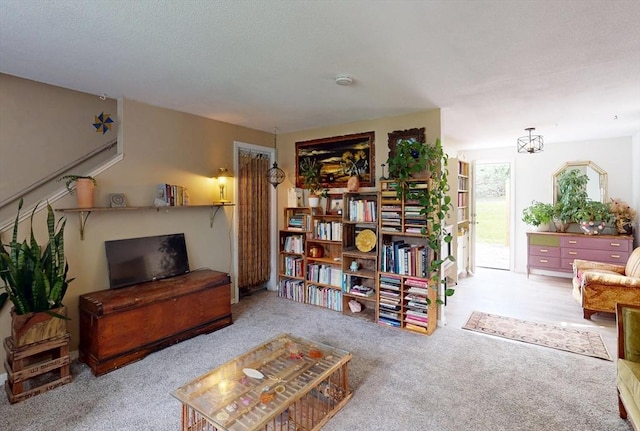 252 W St Unit 18, Amherst, MA 01002 - view of carpeted living area