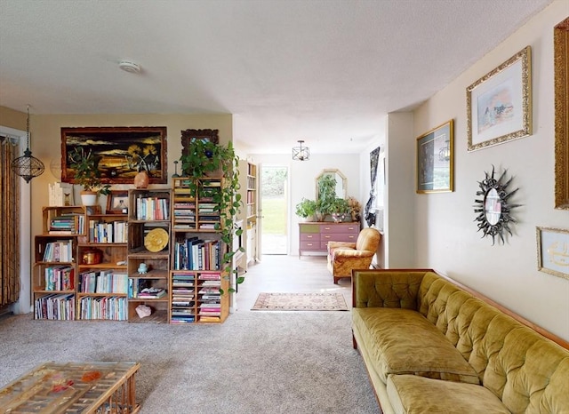 252 W St Unit 18, Amherst, MA 01002 - view of carpeted living room