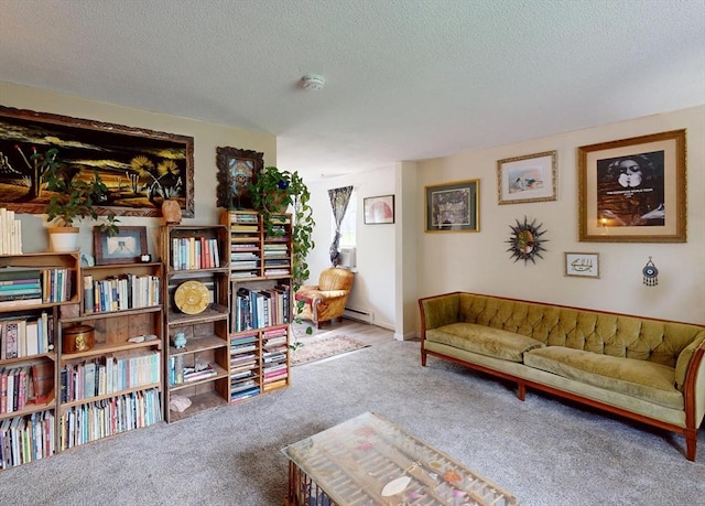 252 W St Unit 18, Amherst, MA 01002 - carpeted living room featuring a textured ceiling and baseboard heating