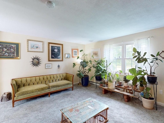 252 W St Unit 18, Amherst, MA 01002 - living area with carpet floors, a textured ceiling, and baseboards