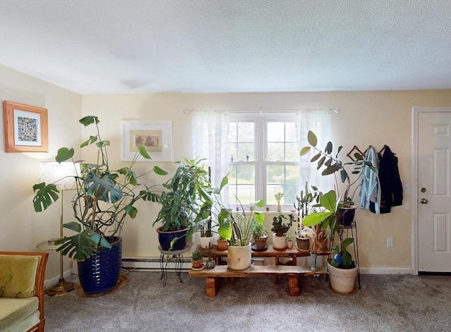 252 W St Unit 18, Amherst, MA 01002 - entryway featuring carpet floors, a baseboard radiator, and baseboards