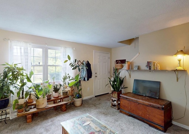 252 W St Unit 18, Amherst, MA 01002 - carpeted living room featuring a textured ceiling and baseboards