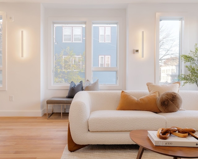 living area with wood-type flooring