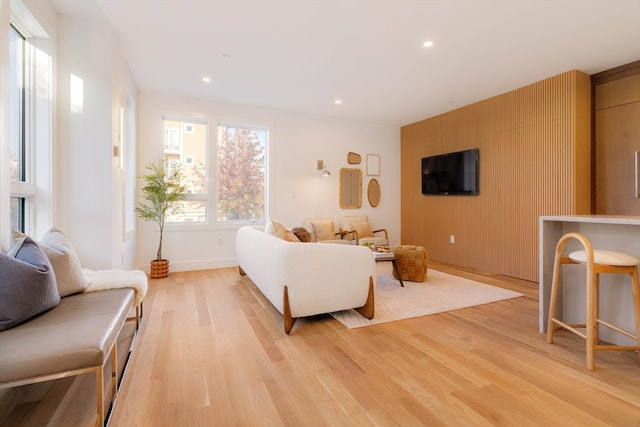 living room featuring light hardwood / wood-style flooring