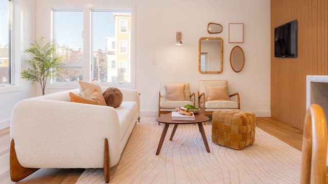 living room featuring hardwood / wood-style flooring