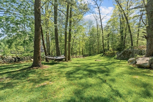 view of grassy yard