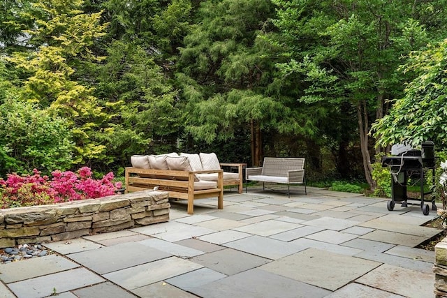 45 Pound St, Medfield, MA 02052 - view of patio / terrace with outdoor lounge area and a forest view