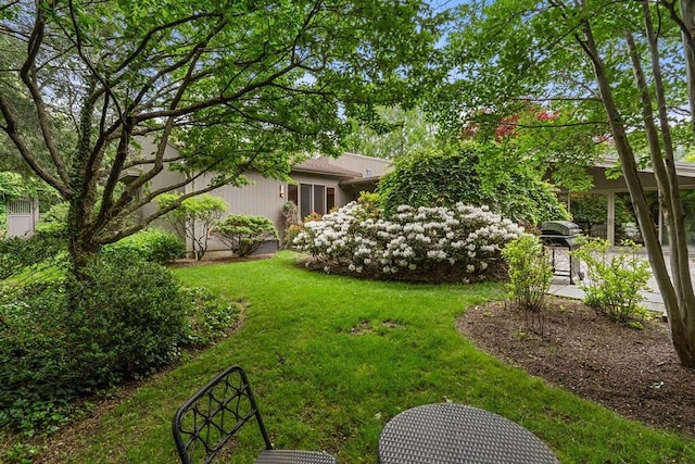 45 Pound St, Medfield, MA 02052 - view of grassy yard