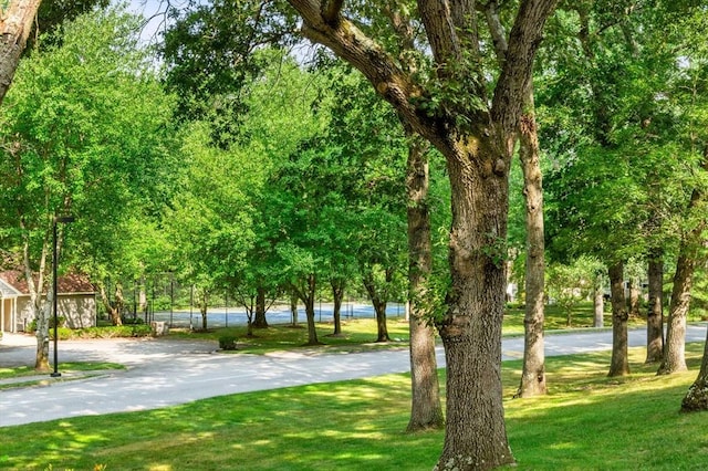 view of community featuring a lawn