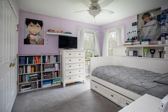 284 Hortonville Rd, Swansea, MA 02777 - bedroom featuring carpet flooring and ceiling fan