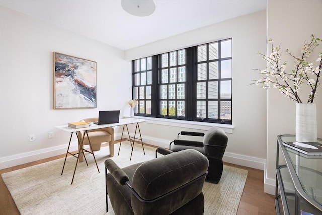 office featuring hardwood / wood-style flooring