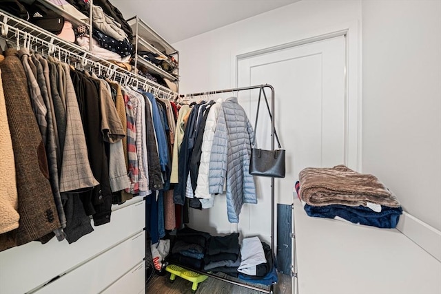 375 Canal St Unit 1109, Somerville, MA 02145 - spacious closet with wood finished floors