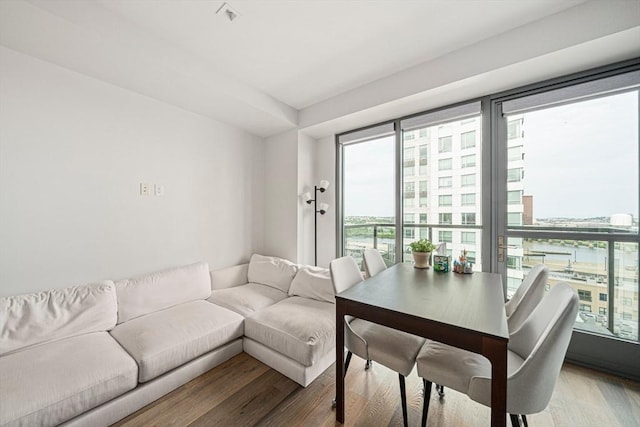 375 Canal St Unit 1109, Somerville, MA 02145 - living room featuring light wood-style floors and a city view