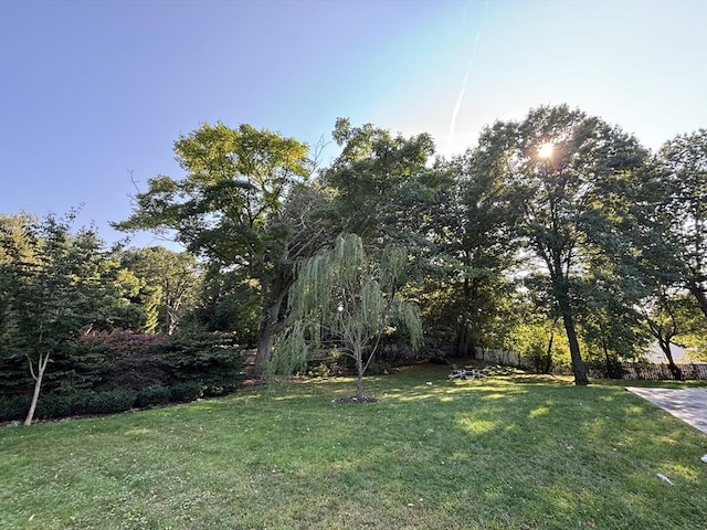 view of yard with fence