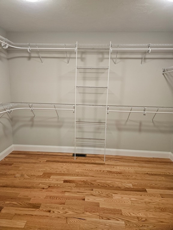 spacious closet featuring wood-type flooring