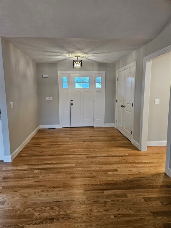 entrance foyer featuring wood-type flooring