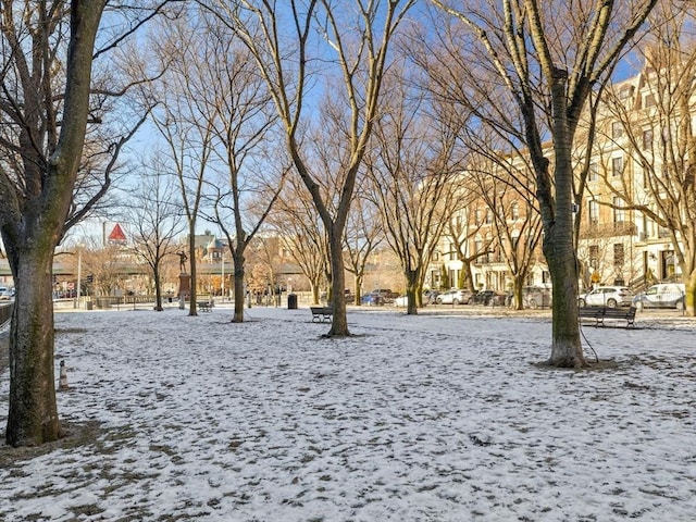 view of snowy yard