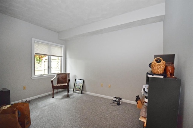 272 N Farm Dr Unit 272, Bristol, RI 02809 - sitting room featuring carpet flooring and baseboards