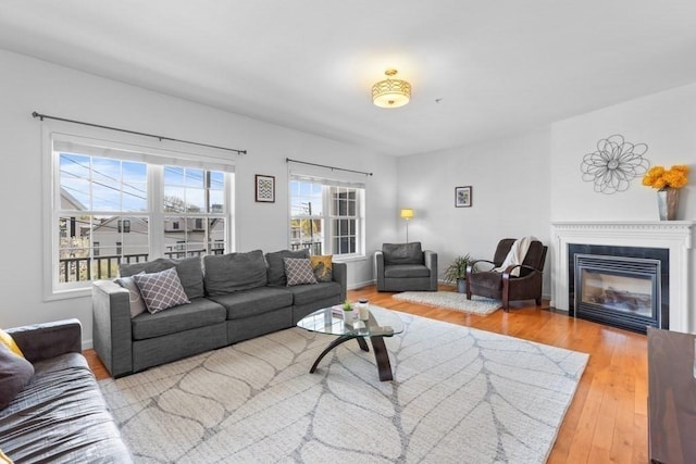 living area with a glass covered fireplace and wood finished floors