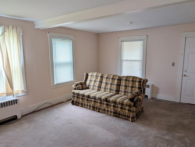 5 Hall St, Webster, MA 01570 - living area featuring carpet, an AC wall unit, baseboards, and beamed ceiling