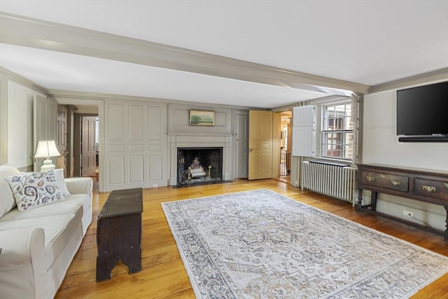 6 Lee St, Marblehead, MA 01945 - living area with radiator heating unit, light wood-style floors, and a fireplace with flush hearth