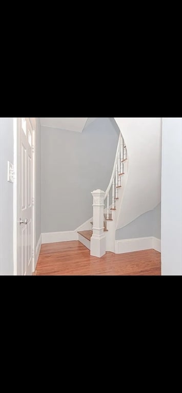 staircase featuring hardwood / wood-style flooring