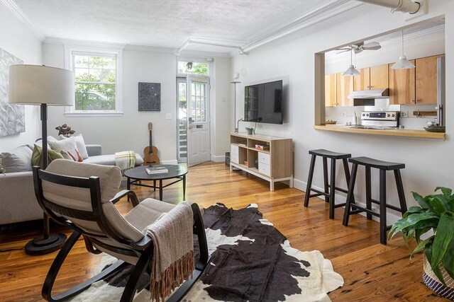126 Amory St Unit B4, Brookline, MA 02446 - living area with ornamental molding, a ceiling fan, wood finished floors, and baseboards