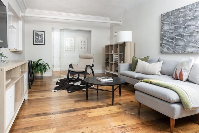 126 Amory St Unit B4, Brookline, MA 02446 - living area with crown molding, light wood-style flooring, and baseboards