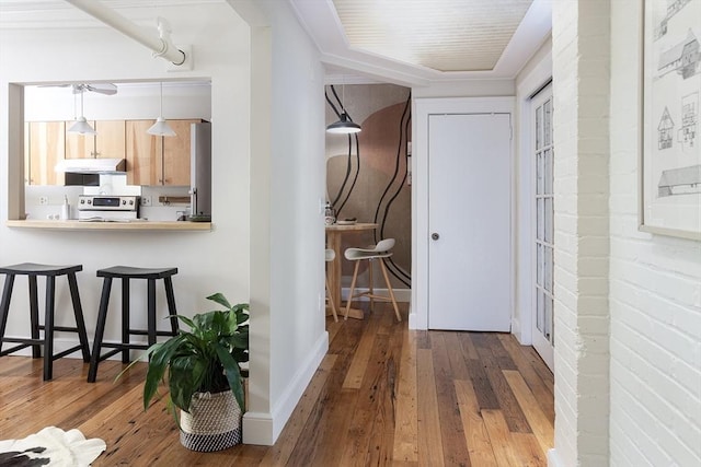 126 Amory St Unit B4, Brookline, MA 02446 - hall featuring hardwood / wood-style flooring and baseboards