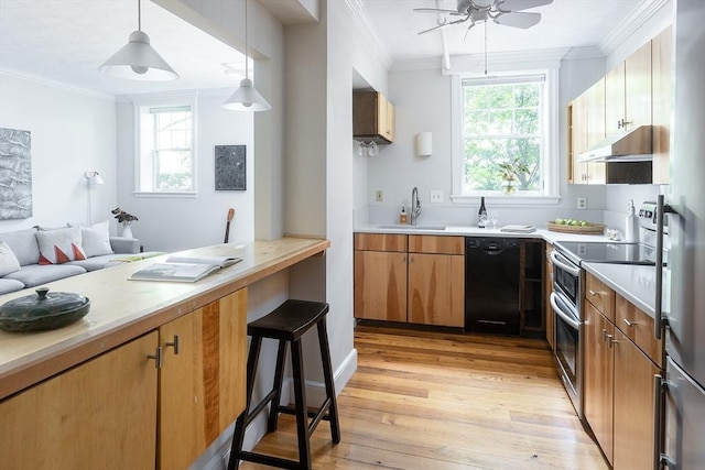 126 Amory St Unit B4, Brookline, MA 02446 - kitchen with dishwasher, a sink, under cabinet range hood, double oven range, and ceiling fan