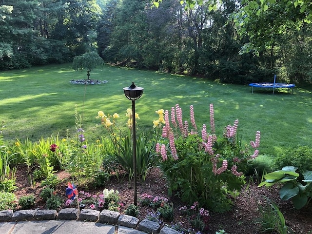 view of yard featuring a trampoline