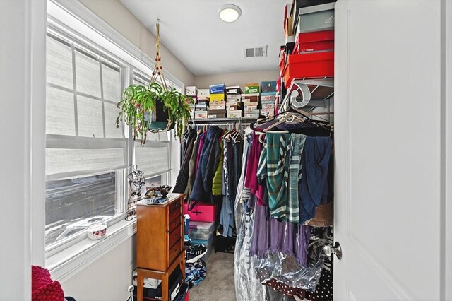 view of walk in closet